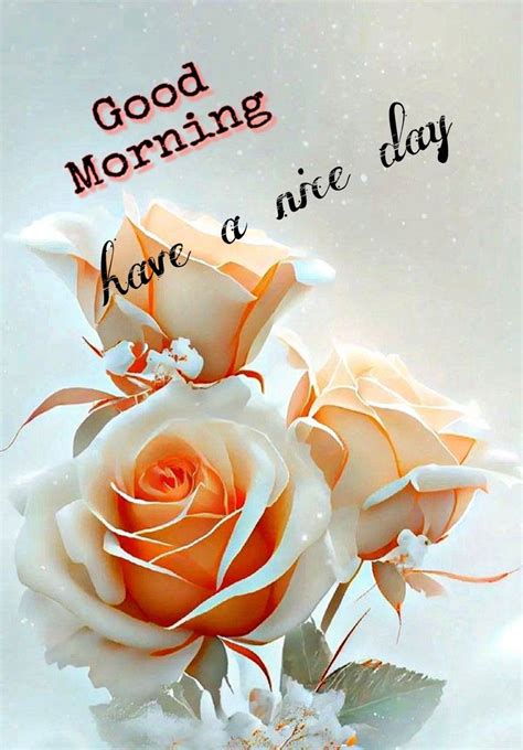 Good morning ☀️ .